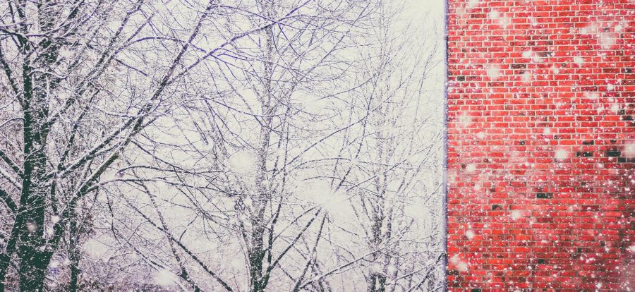 Snowy trees and brick wall