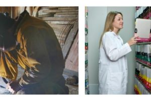 Spring hiring trends