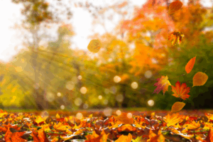 Why Fall Is Your Best Season to Build A Temp Staffing Pool - DPI Staffing