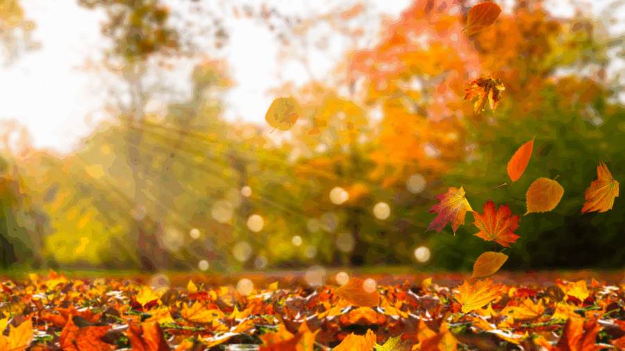 Why Fall Is Your Best Season to Build A Temp Staffing Pool - DPI Staffing